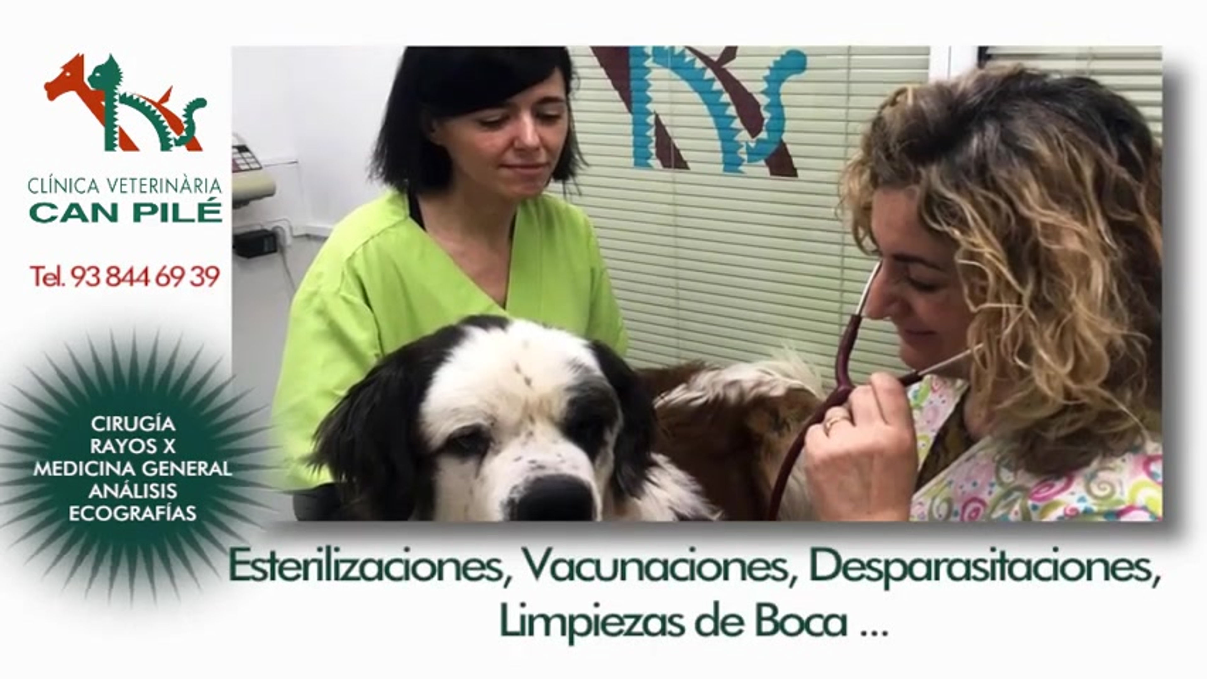 videoCanPile